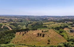 A Dos Negros, Leiria 2510