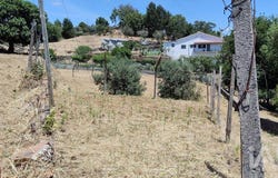 Leiria, Leiria District