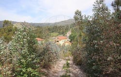 Braga, Braga 4850-272