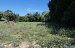 Tomar, Santarém 2300-570