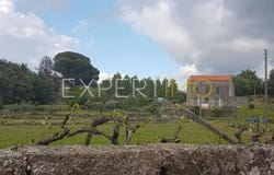 Caminho do Formil, Guarda, Guarda District 6290