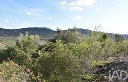 Santarém, Santarém District