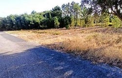 Coruche, Santarém 2100-516