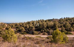 Budens, Algarve 8650