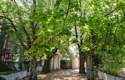 Lousã Zona, Lousã, Coimbra
