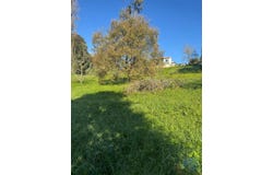 Leiria, Leiria District