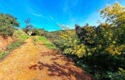 São Marcos da Serra, Algarve