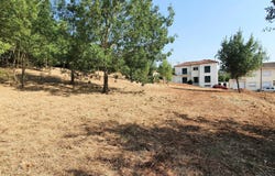 Taveiro, Coimbra District