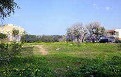 Pechão, Algarve 8700