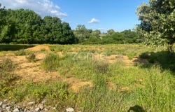 Alcanena, Santarém District