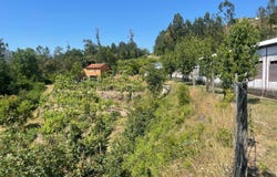 São João da Serra, Viseu District