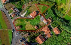 Canhas, Madeira 9360