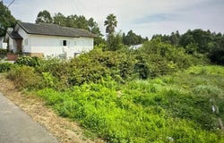 Espinho, Aveiro District 4500-000
