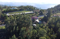 Camacha, Madeira 9135