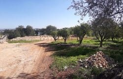 Boliqueime, Algarve 8100