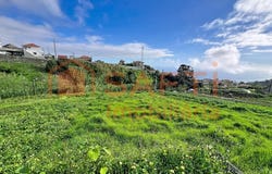 Canhas, Madeira