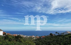 Ponta Do Sol, Madeira 9350