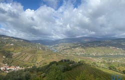 Viseu, Viseu District