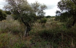 Rabadão, Salgueiro do Campo, Castelo Branco District 6000-630