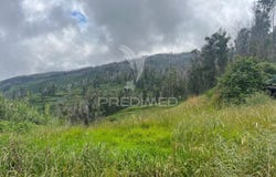 Ponta do Pargo, Calheta, Madeira