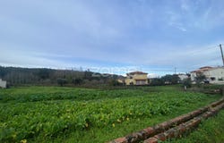 Anadia, Aveiro District