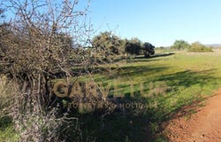 Paderne, Algarve