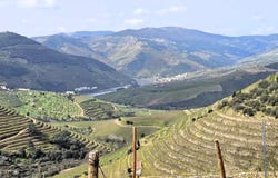 Ervedosa Do Douro, Viseu 5130