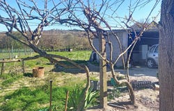 Guarda, Guarda District