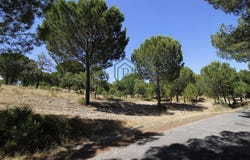 Mora, Évora 7490
