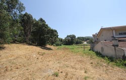 Galegos, Porto District