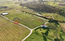 Rogil, Algarve 8670
