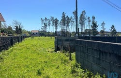 Braga, Braga