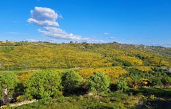 Aldeia do Bispo, Guarda District