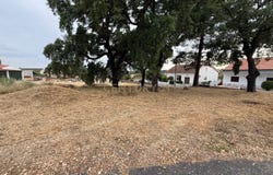 Tinalhas, Castelo Branco District