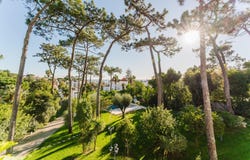 Cascais, Lisbon 2765-001