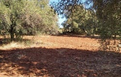 Paderne, Algarve