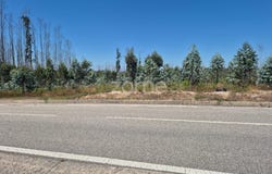 Leiria, Leiria District