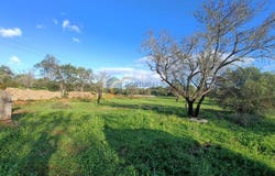 Conceição e Estói, Algarve 8005