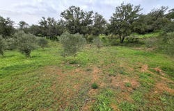 Guia, Algarve 8200
