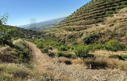 Longroiva, Guarda District