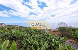 Ponta do Sol, Madeira
