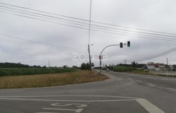 Cantanhede, Coimbra District