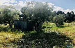 Palmela, Setúbal 2950-064
