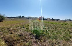 Caldas da Rainha, Leiria District