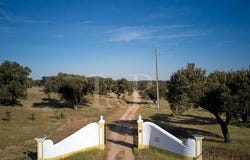 Portalegre, Portalegre