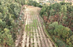 Braga, Braga 4860-122