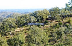 Almodôvar e Graça dos Padrões, Beja 7700