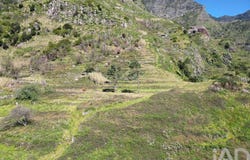 Ilha da Madeira, Madeira