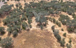 Capelins (Santo António), Alandroal, Évora District 7250