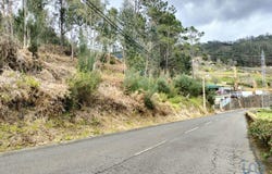 Canhas, Madeira 9360